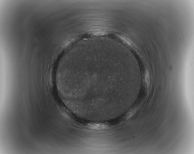 X0000086050512200704091212