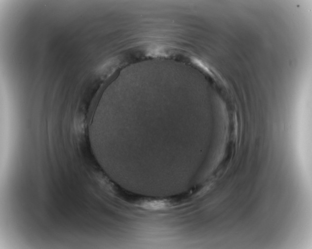 X0000086050513200704091212