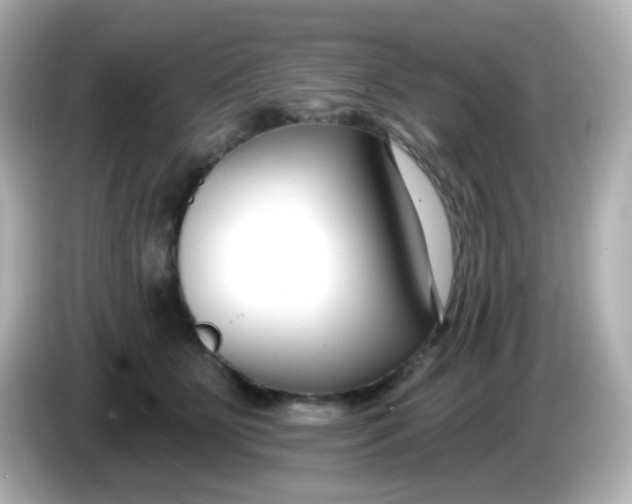 X0000086050515200704091212