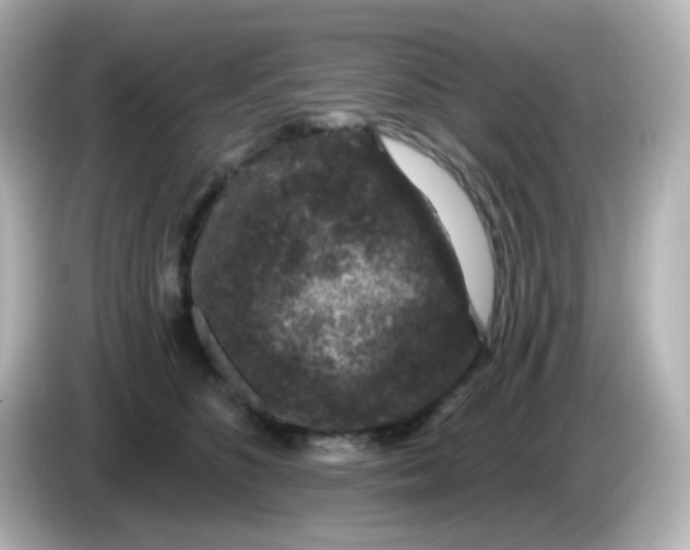 X0000086050516200704091212