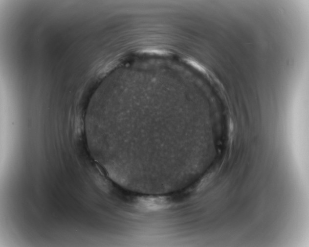 X0000086050517200704091212