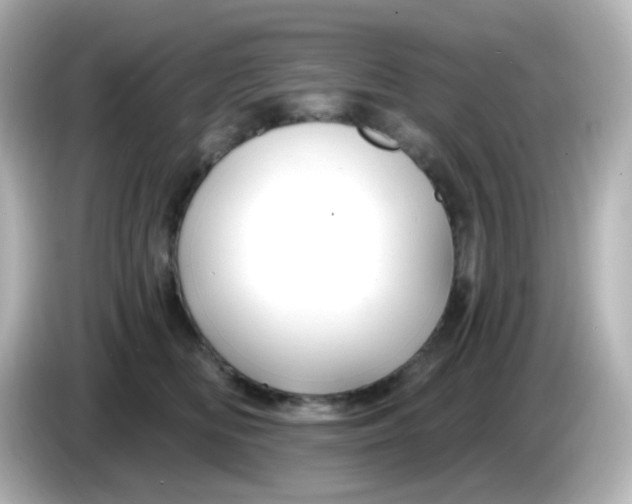 X0000086050518200704091212