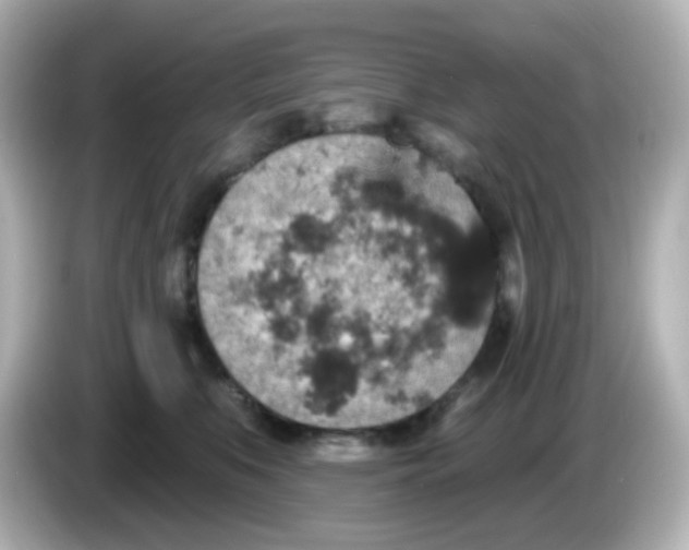 X0000086050519200704091212