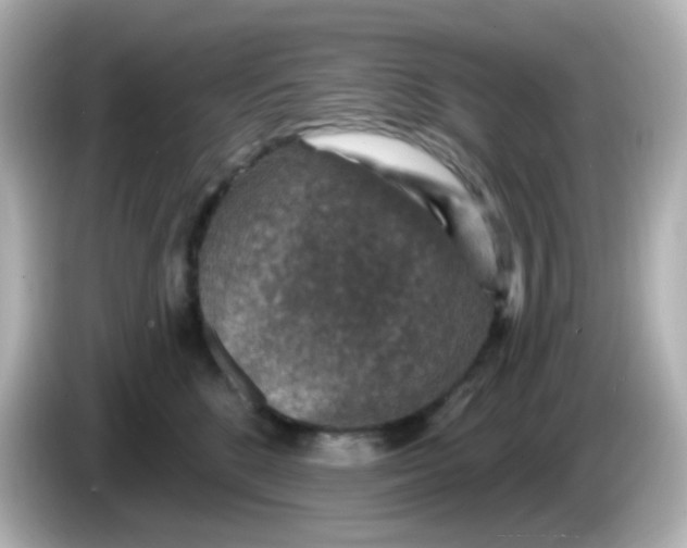 X0000086050520200704091212