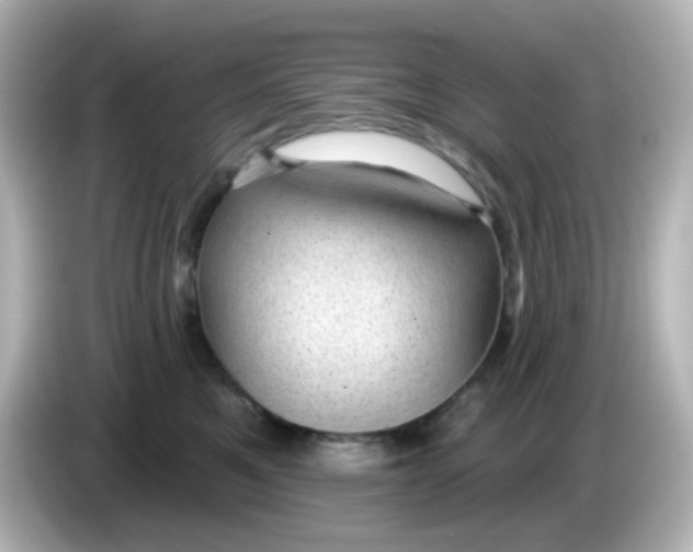 X0000086050521200704091212