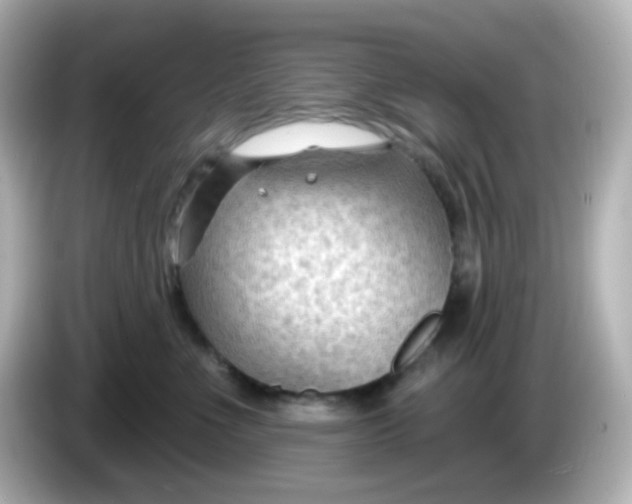 X0000086050523200704091212