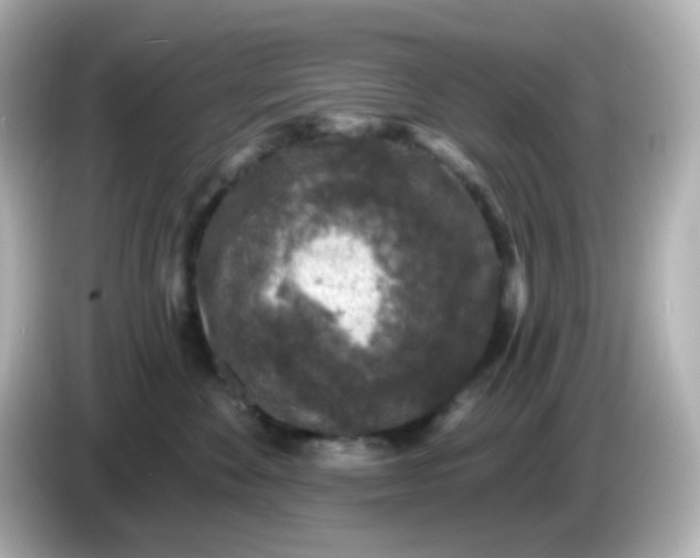 X0000086050524200704091212
