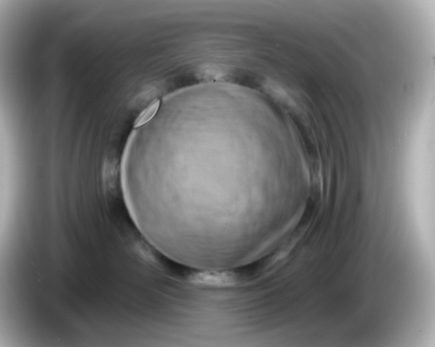 X0000086050526200704091212