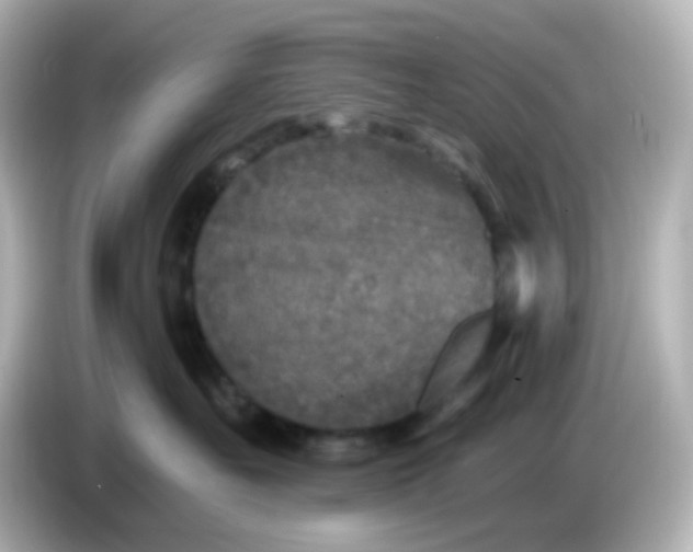 X0000086050527200704091212