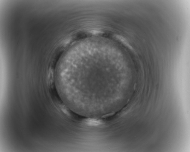 X0000086050528200704091212