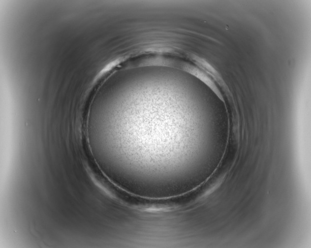 X0000086050530200704091211