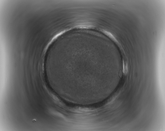 X0000086050531200704091211
