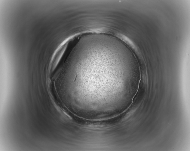 X0000086050532200704091211