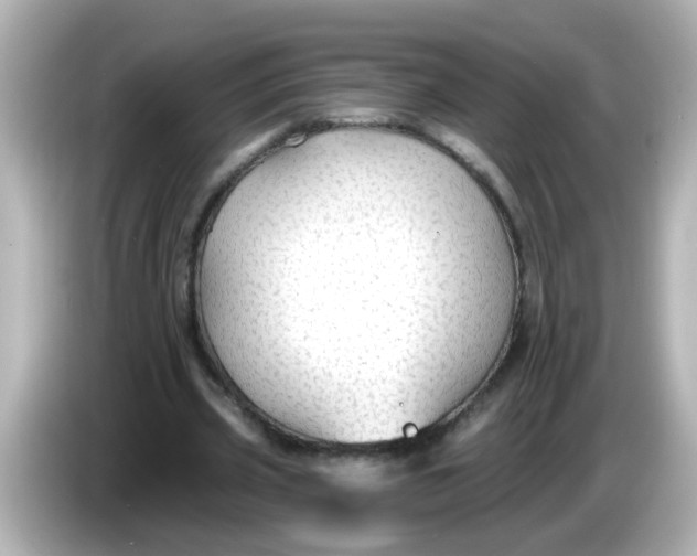 X0000086050533200704091211