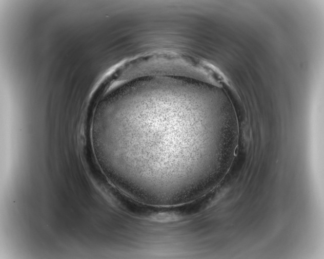 X0000086050536200704091211
