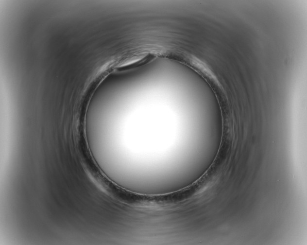 X0000086050538200704091211