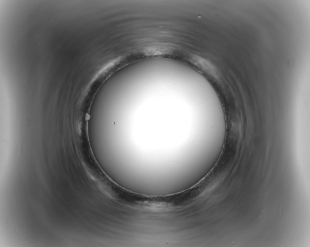 X0000086050539200704091211