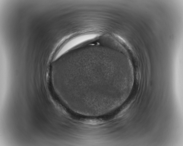 X0000086050540200704091211