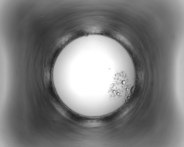 X0000086050541200704091211