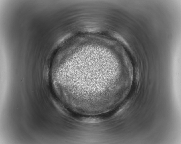 X0000086050542200704091211
