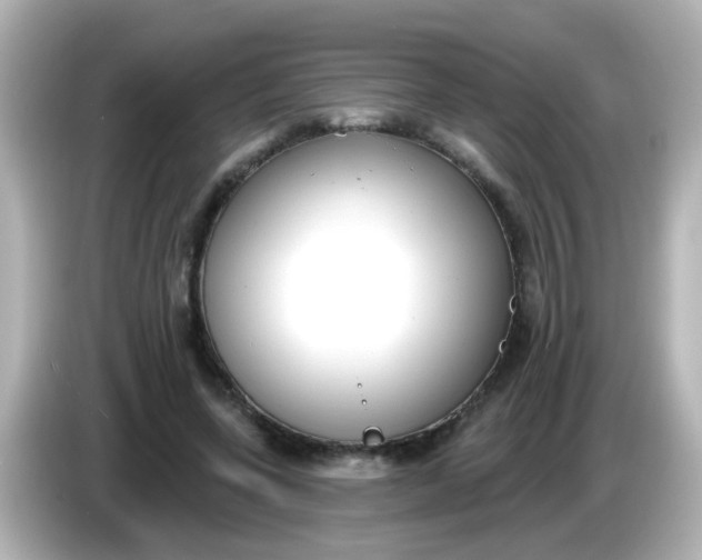 X0000086050543200704091211