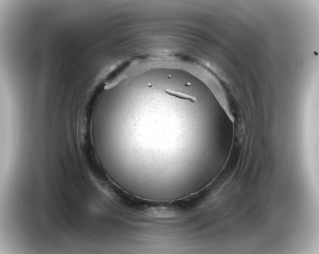 X0000086050544200704091211