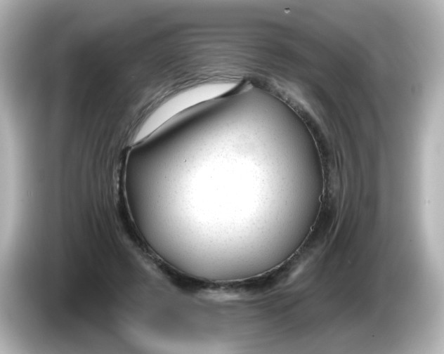 X0000086050545200704091211