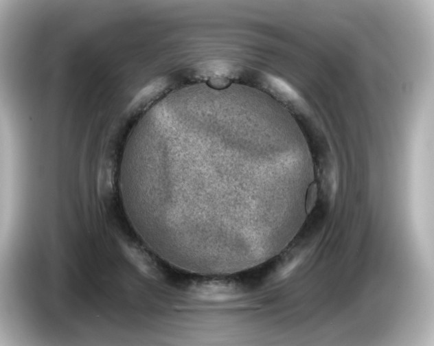 X0000086050546200704091211