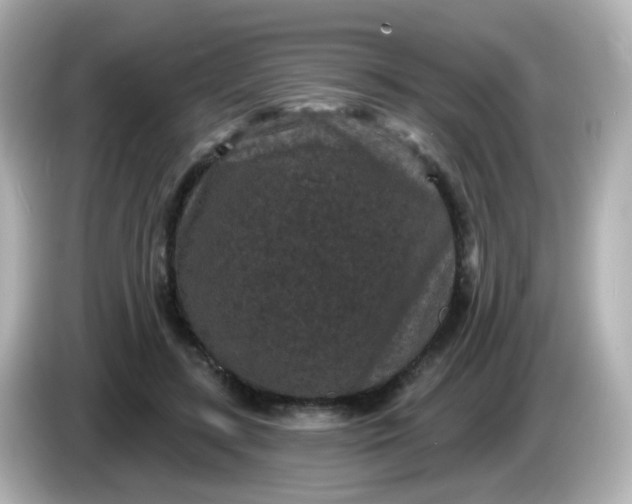 X0000086050547200704091211