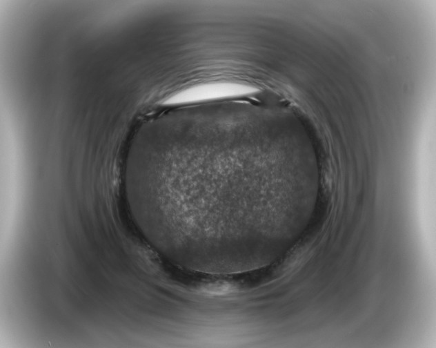 X0000086050551200704091211