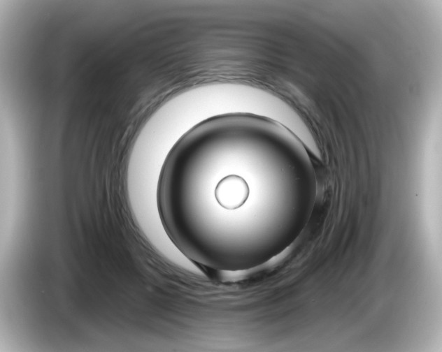 X0000086050552200704091211