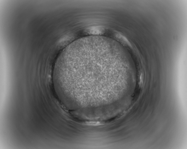 X0000086050553200704091211