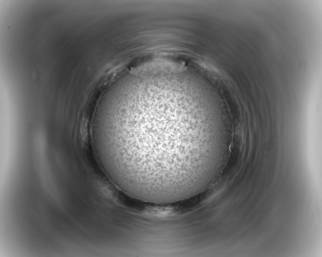 X0000086050554200704091211