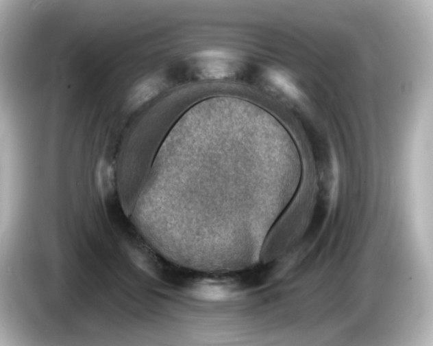X0000086050556200704091211