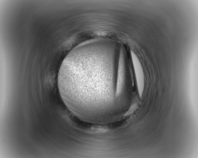 X0000086050559200704091211
