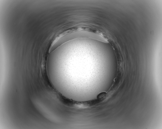 X0000086050561200704091211