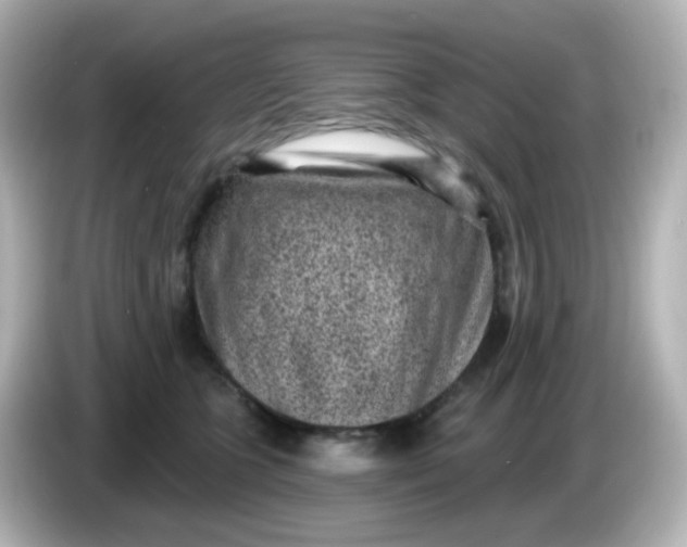 X0000086050563200704091211