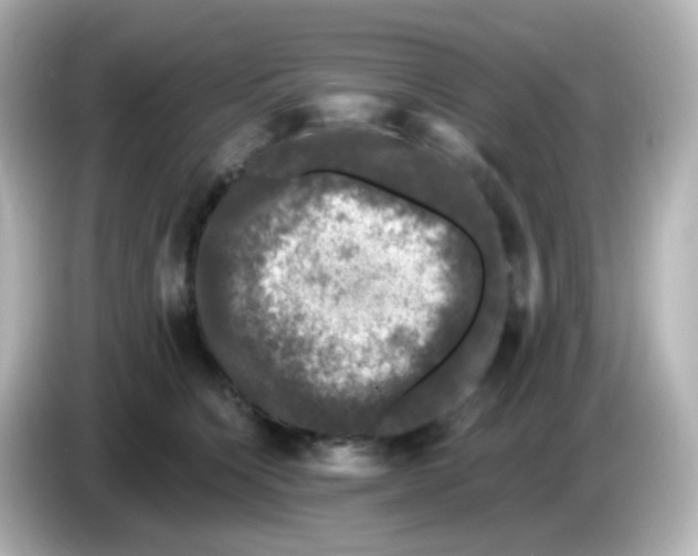 X0000086050564200704091211