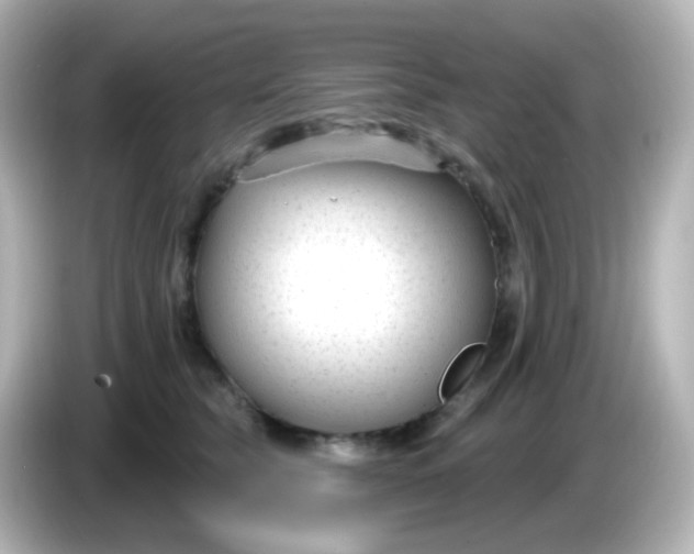X0000086050565200704091211