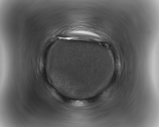 X0000086050566200704091211