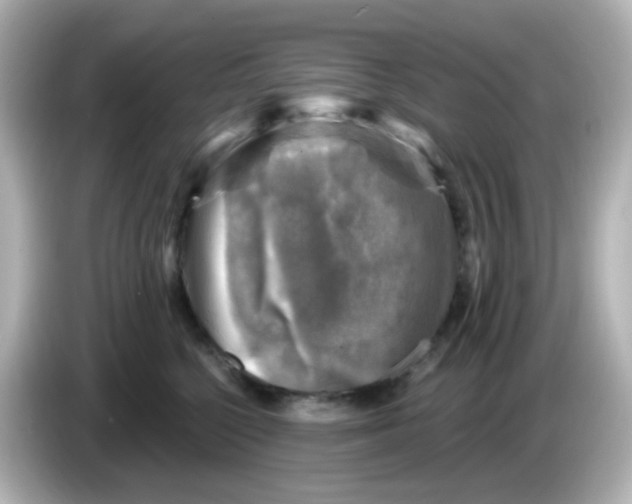 X0000086050568200704091212