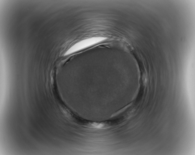 X0000086050570200704091212