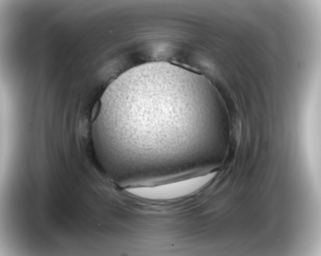 X0000086050571200704091212