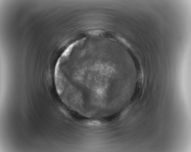 X0000086050572200704091212