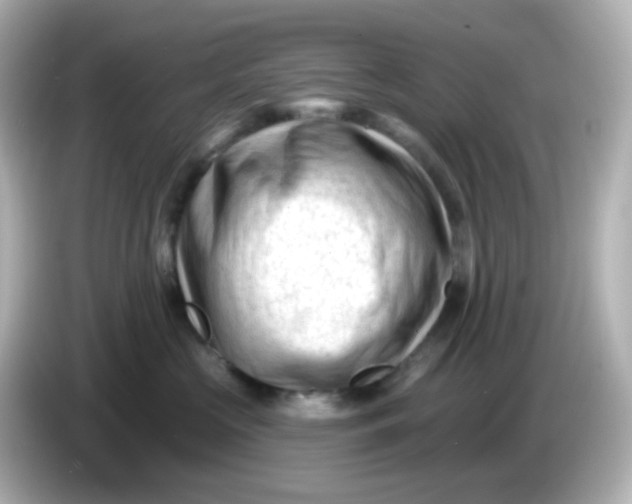 X0000086050573200704091212