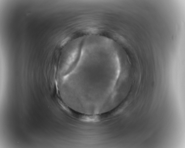 X0000086050576200704091212