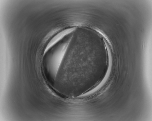X0000086050577200704091211