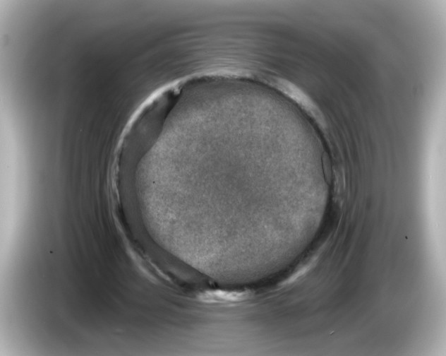 X0000086050580200704091211