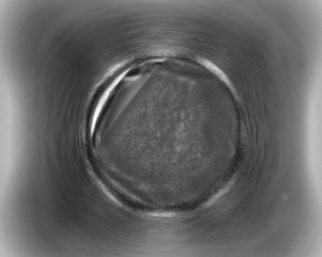 X0000086050581200704091211