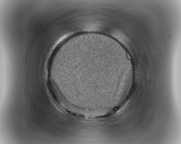 X0000086050584200704091211